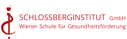 Schlossberginstitut